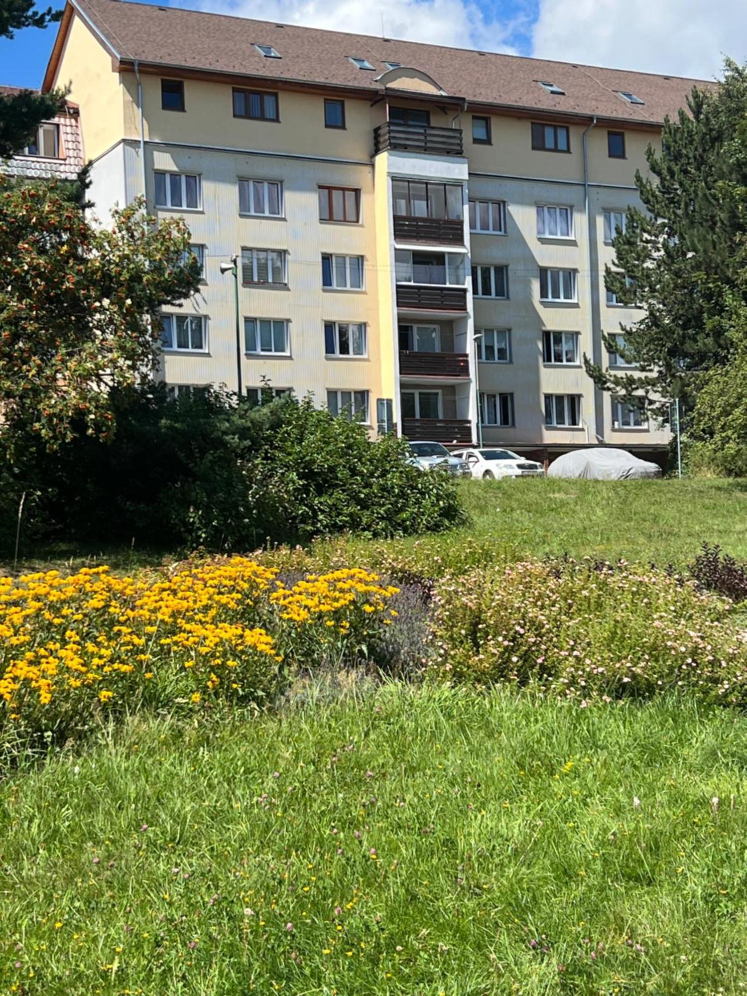 Apartment Татранска-Штрба Экстерьер фото
